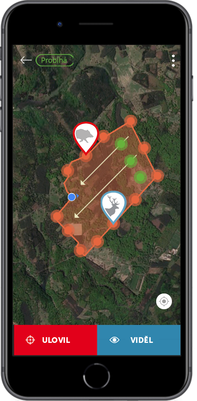 Podívejte se, co se děje v leči